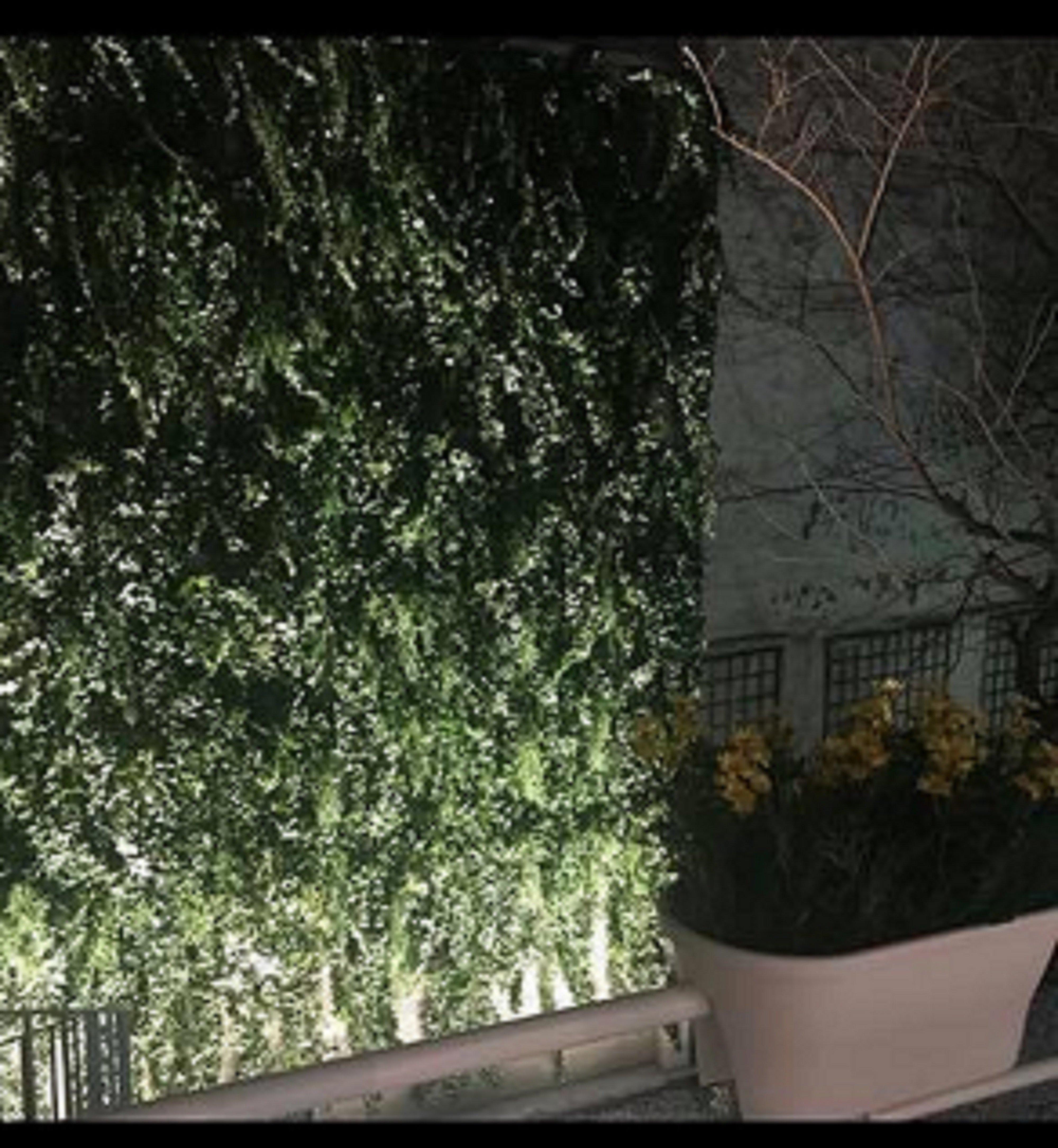 Holiday Inn Paris Montmartre By Ihg Exterior foto